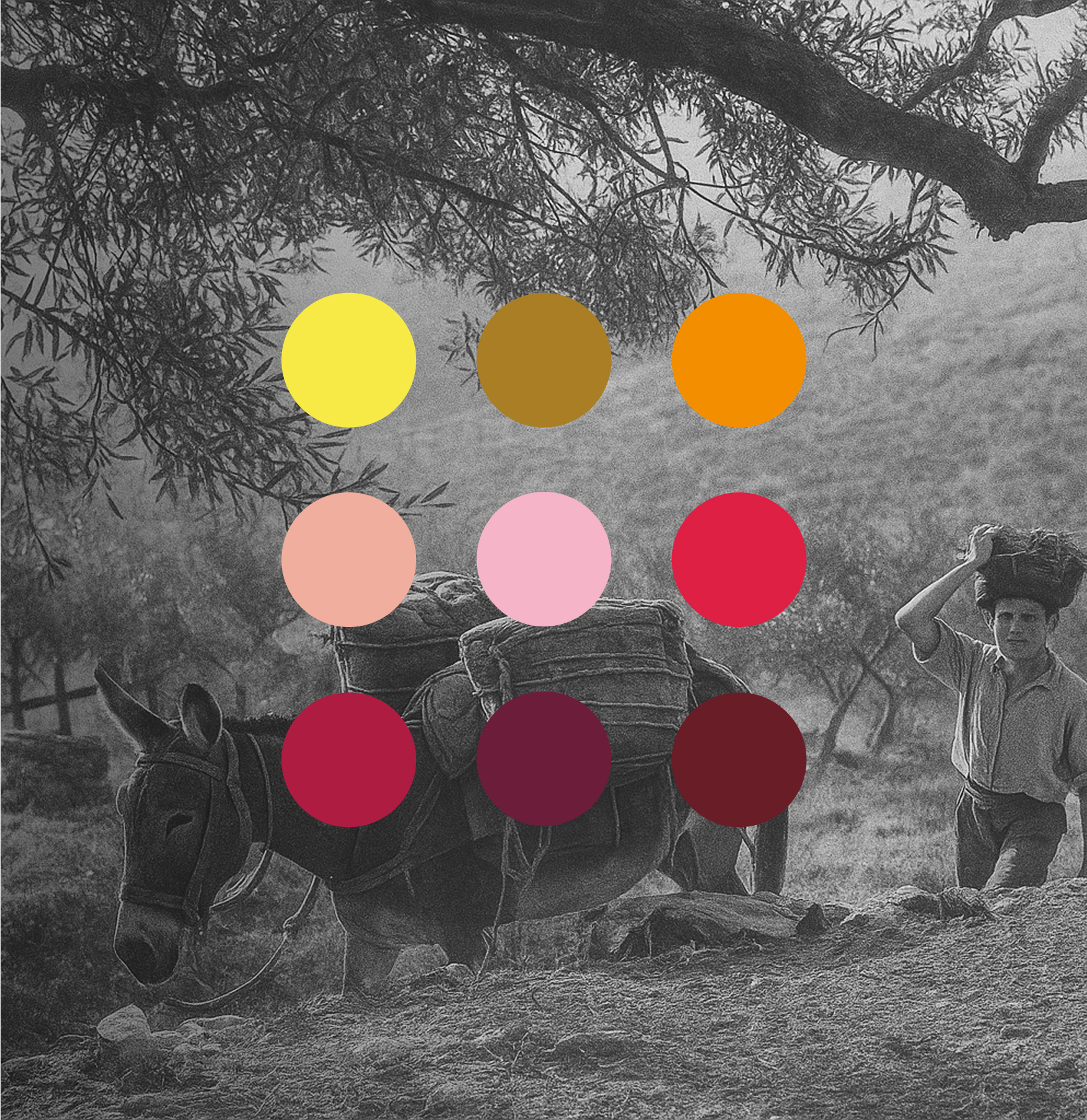 Cada vino cuenta una historia sobre nosotros